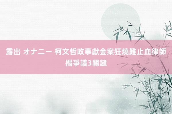 露出 オナニー 柯文哲政事獻金案狂燒難止血　律師揭爭議3關鍵
