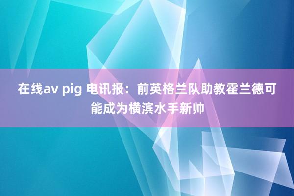 在线av pig 电讯报：前英格兰队助教霍兰德可能成为横滨水手新帅
