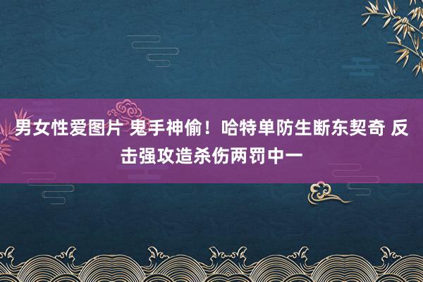 男女性爱图片 鬼手神偷！哈特单防生断东契奇 反击强攻造杀伤两罚中一