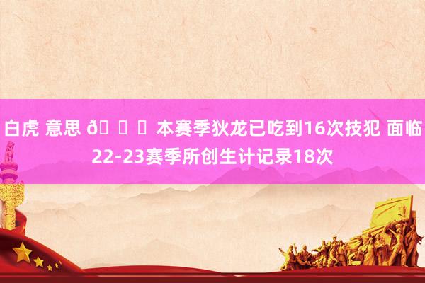 白虎 意思 👀本赛季狄龙已吃到16次技犯 面临22-23赛季所创生计记录18次