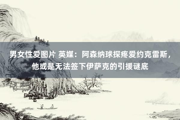 男女性爱图片 英媒：阿森纳球探疼爱约克雷斯，他或是无法签下伊萨克的引援谜底